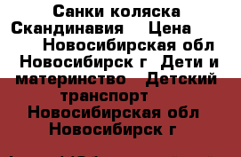 Санки коляска Скандинавия  › Цена ­ 4 000 - Новосибирская обл., Новосибирск г. Дети и материнство » Детский транспорт   . Новосибирская обл.,Новосибирск г.